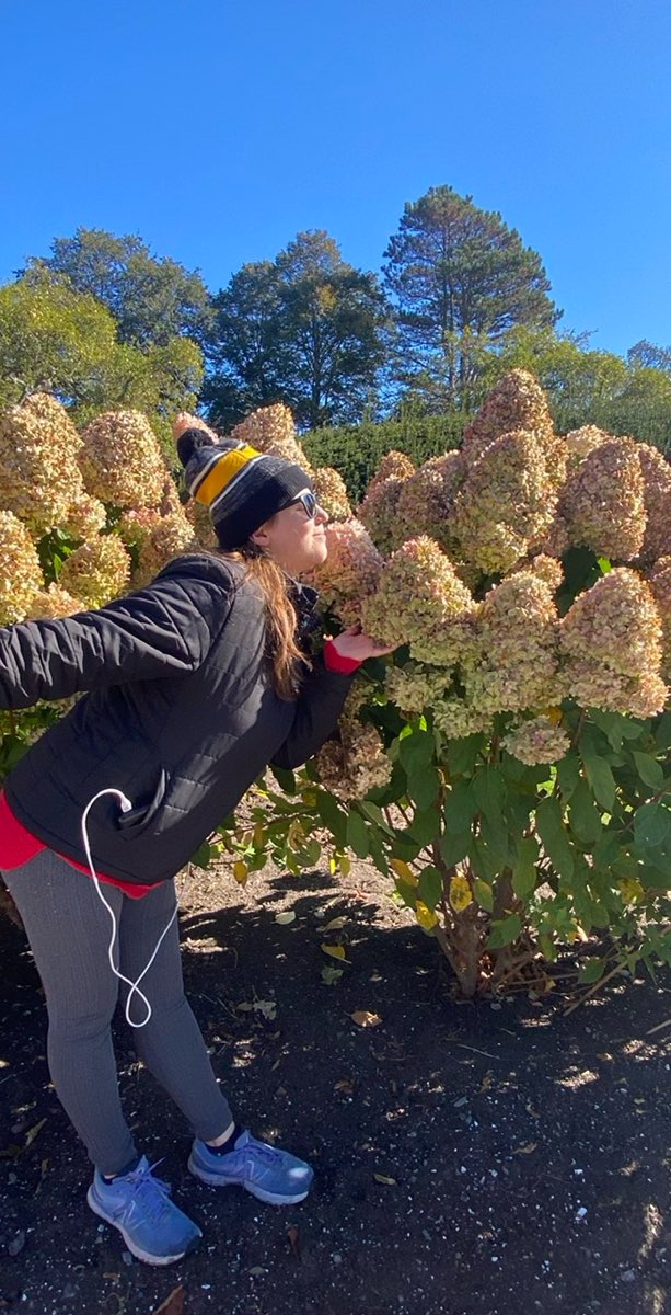 朴茨茅斯新罕布什尔市中心寻宝游戏寻宝游戏照片