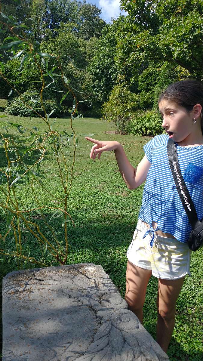 team building scavenger hunt