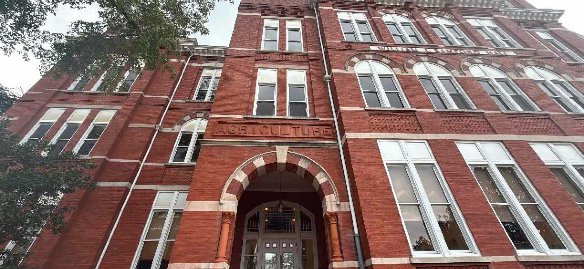 Billeder fra skattejagt i Auburn, Alabama