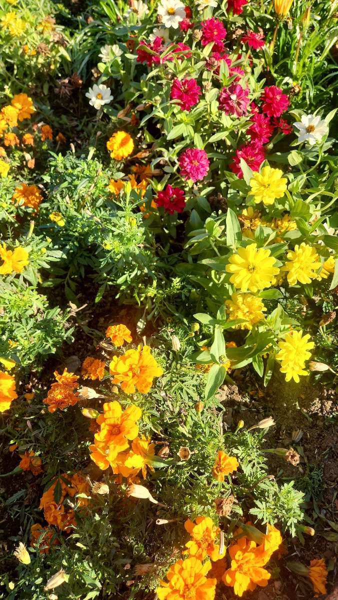 Fotky z úkolů Saint John Scavenger Hunt