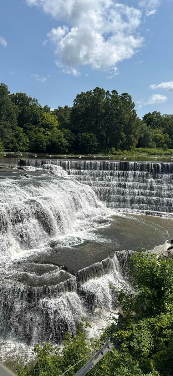 Cornell University Scavenger Hunt scavenger hunt photos