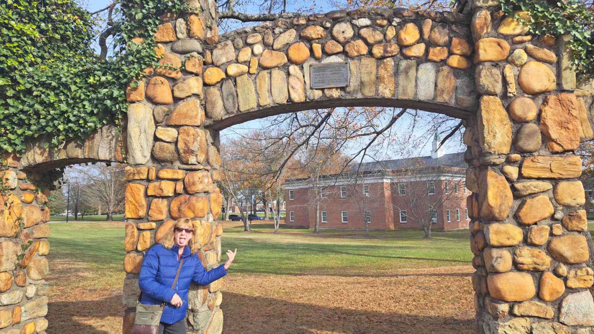 תמונות מחיפוש המטמון בברבארד