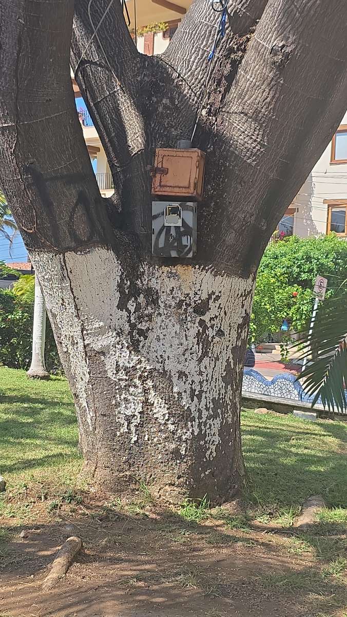 t&yacute;mov&aacute; stavba scavenger hunt