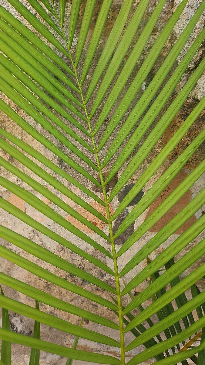 t&yacute;mov&aacute; stavba scavenger hunt