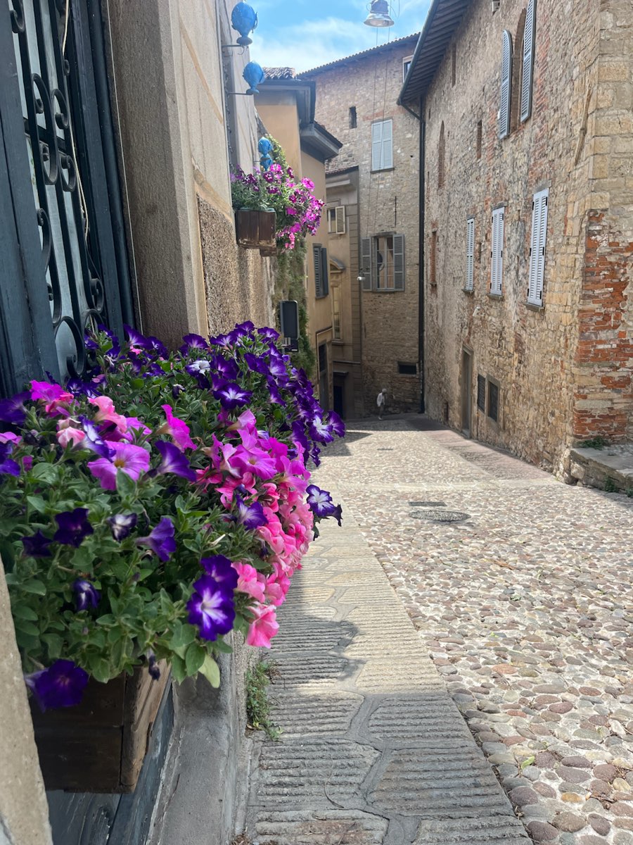 Foto della caccia al tesoro di Bergamo