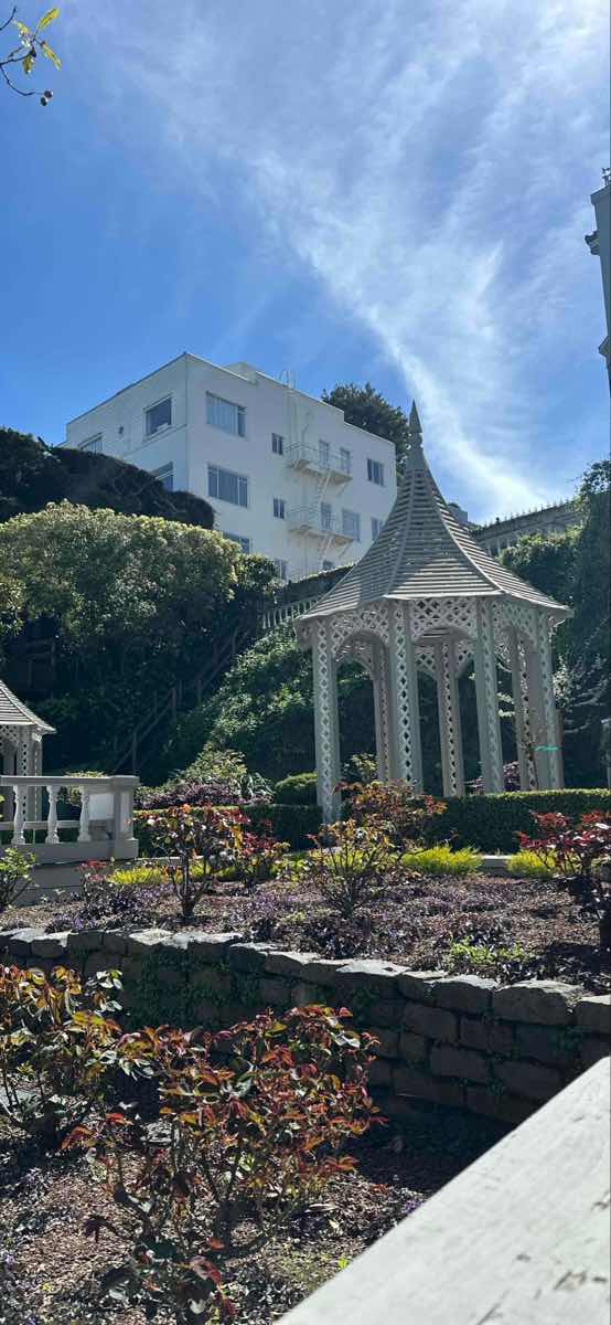 San Francisco State University Scavenger Hunt scavenger hunt photos