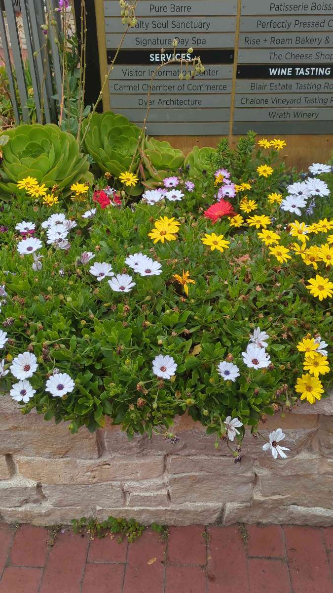 팀 빌딩 스캐빈저 헌트