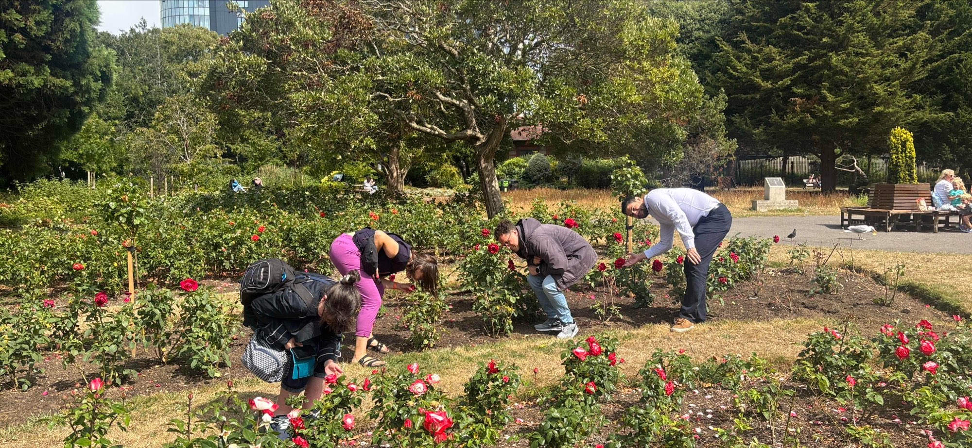 사우스 시 스캐빈저 헌트 스캐빈저 헌트 사진