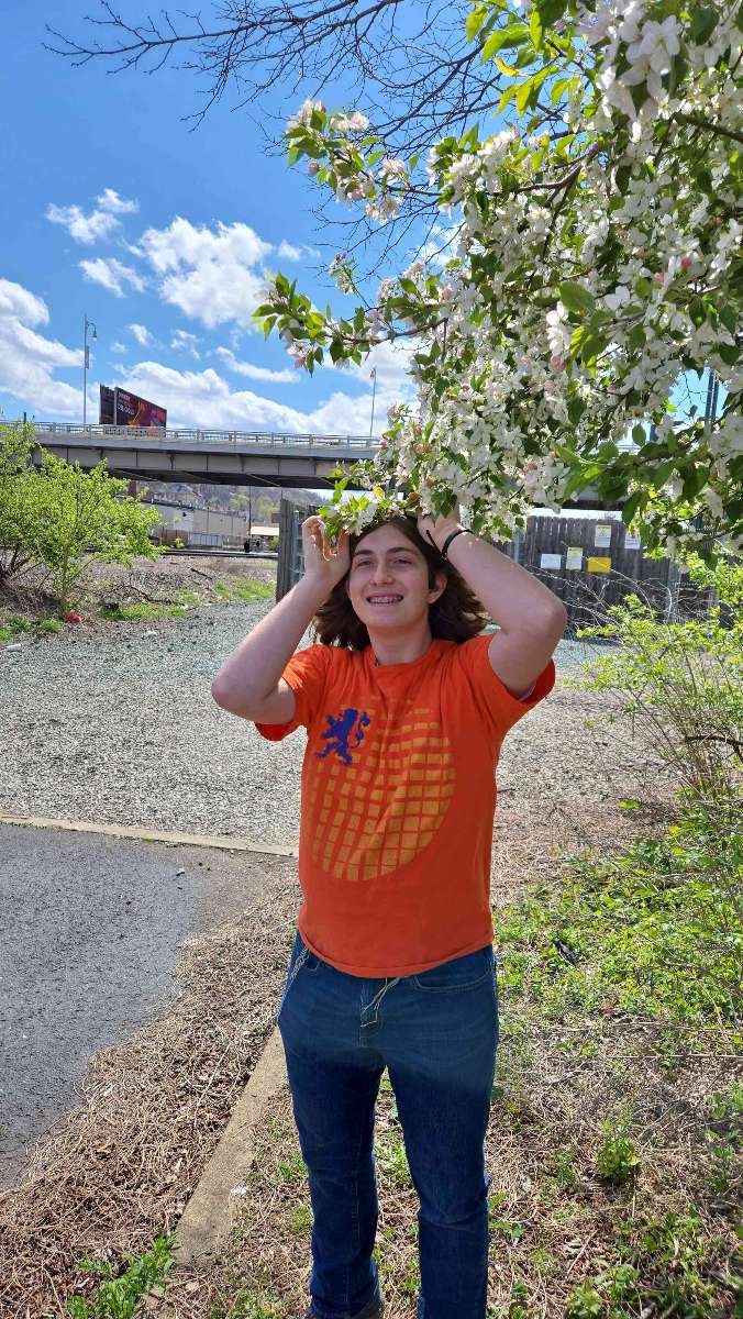 Fotografii de la v&acirc;n&abreve;toarea de comori Homestead Pennsylvania