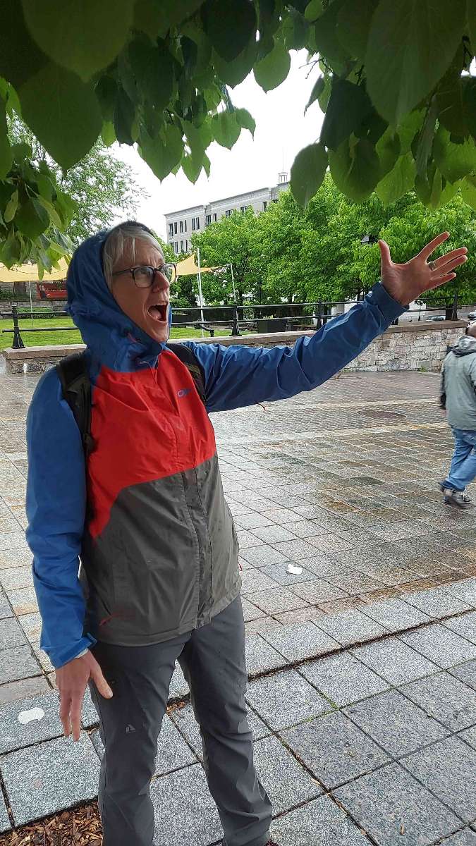 Montreal Scavenger Hunt scavenger hunt photos