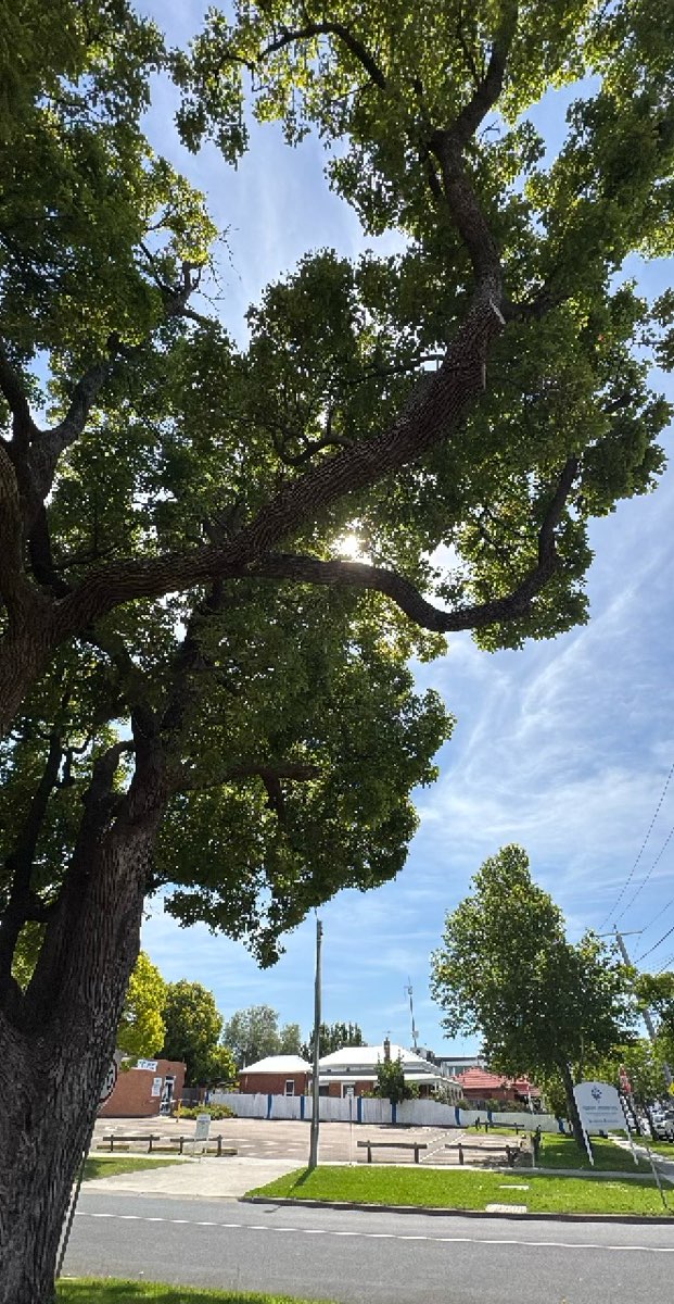 Fotos da Ca&ccedil;a ao Tesouro em Promo&ccedil;&atilde;o