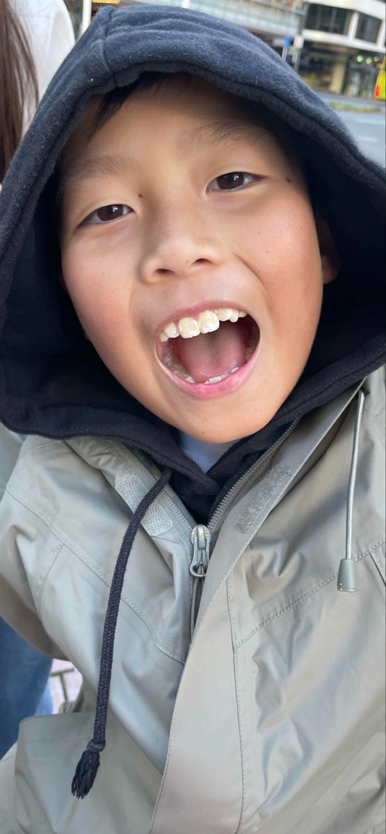 Wellington New Zealand Scavenger Hunt scavenger hunt photos