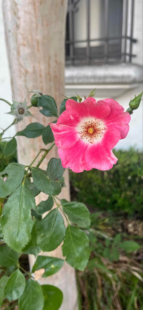 Integracyjna gra terenowa