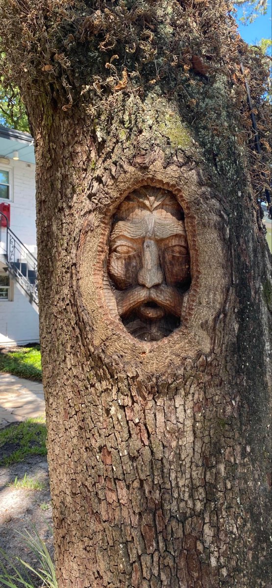 Saint Simons Island Scavenger Hunt scavenger hunt photos