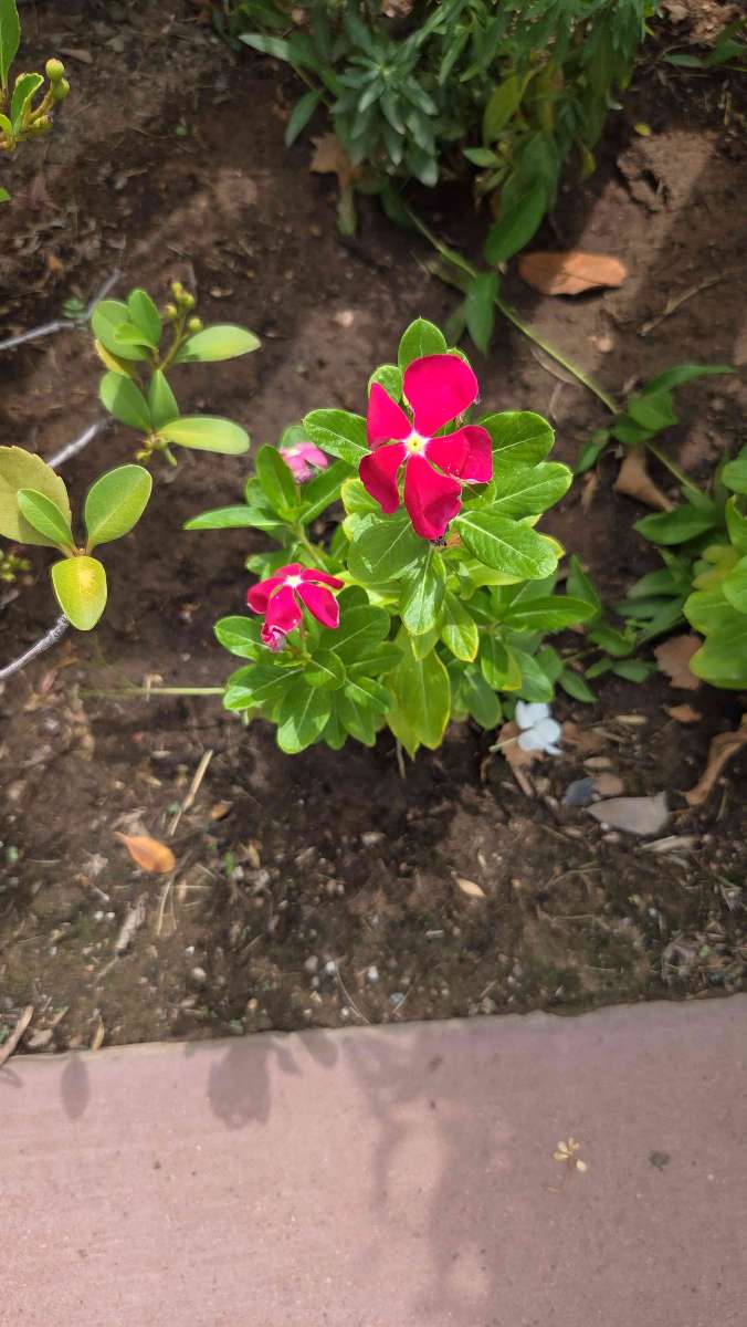 Santa Clara Utah Scavenger Hunt scavenger hunt photos