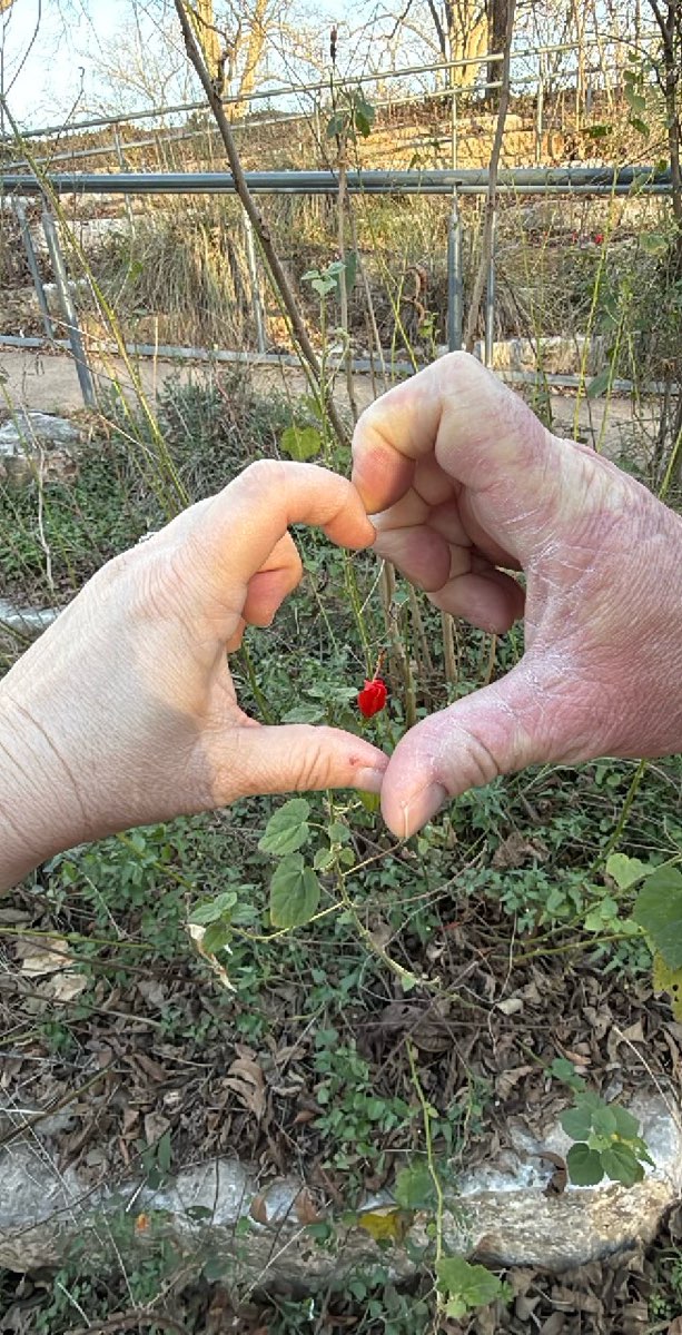 B&uacute;squeda del tesoro en el centro de Austin&comma; Texas&comma; fotos de la b&uacute;squeda del tesoro