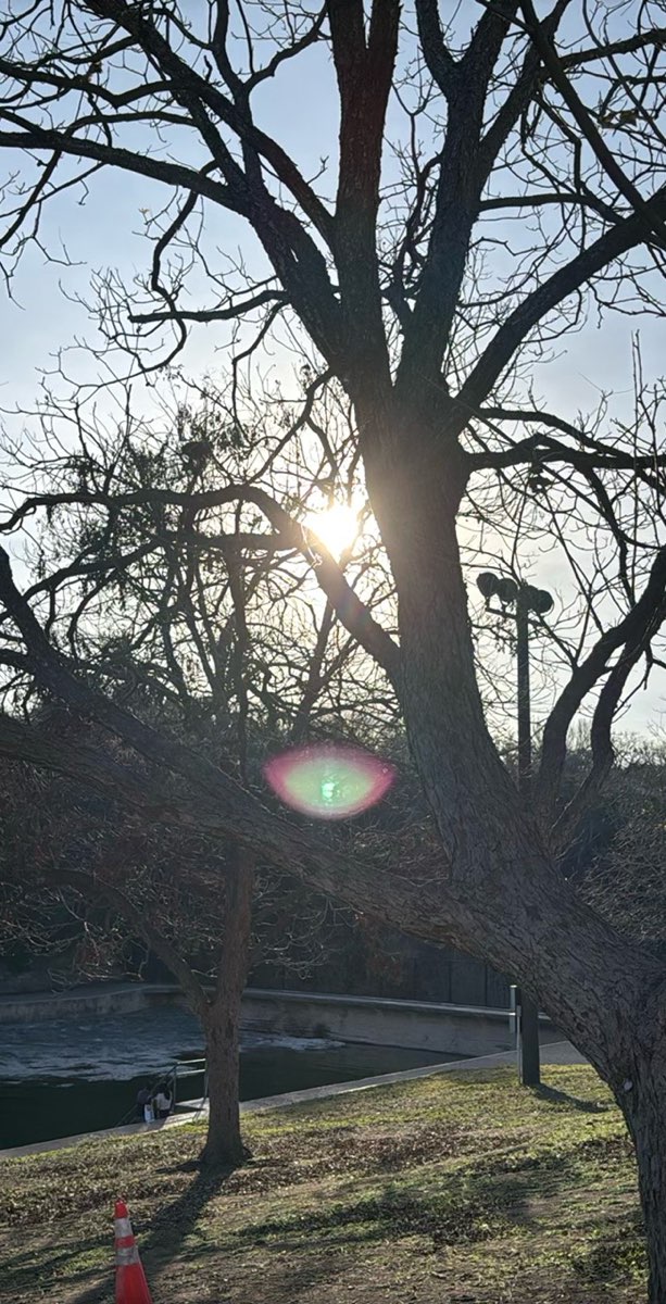 Austin Texas Downtown Scavenger Hunt scavenger hunt photos