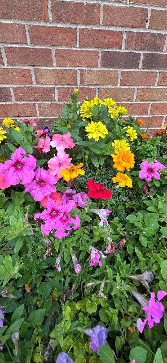 Boulder Scavenger Hunt scavenger hunt photos