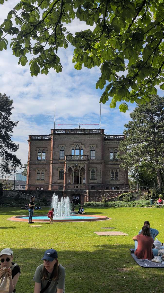 Fotografii Tur de Culoare Freiburg