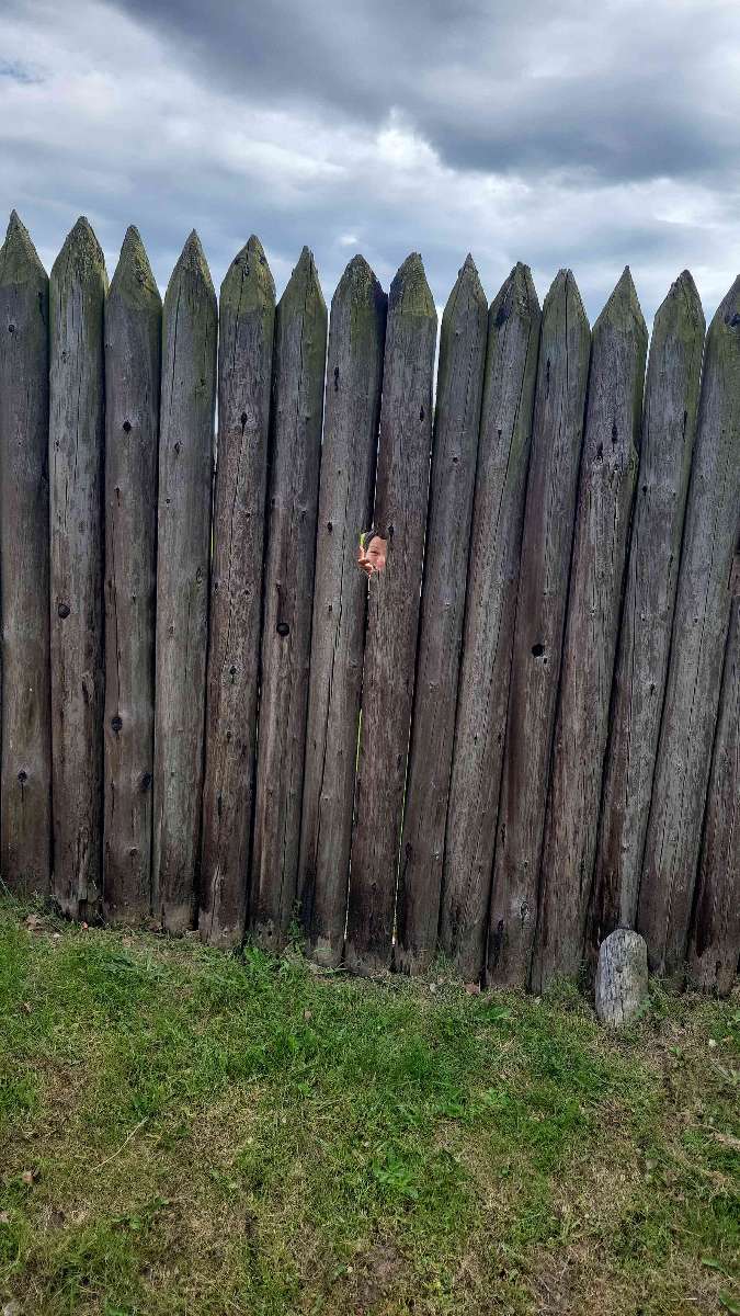 Bilder fra Niagara-on-the-Lake Downtown Skattejakt