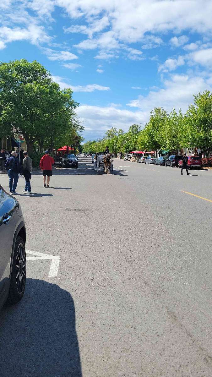 Niagara-on-the-Lake Scavenger Hunt scavenger hunt photos