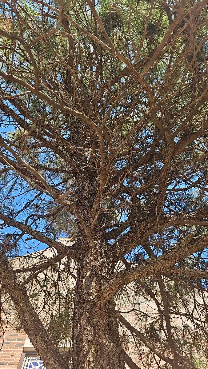 University of Central Oklahoma Scavenger Hunt kincskereső fotók