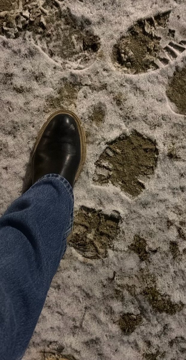 Linz Scavenger Hunt kincsvad&aacute;sz fot&oacute;k