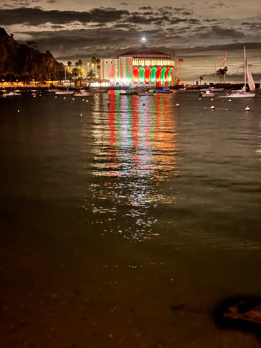 아발론 스캐빈저 헌트 스캐빈저 헌트 사진