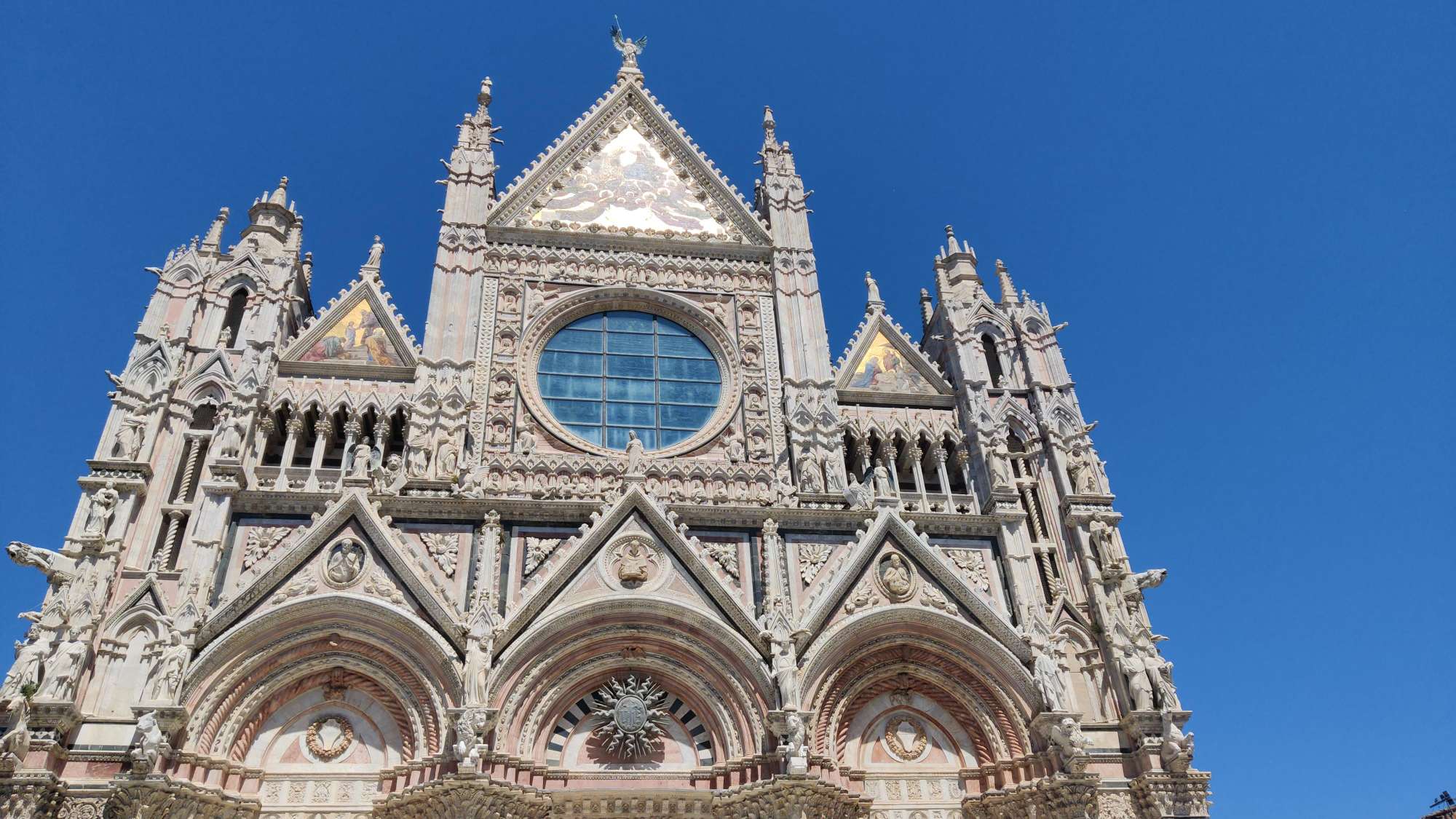 Siena Scavenger Hunt scavenger hunt photos
