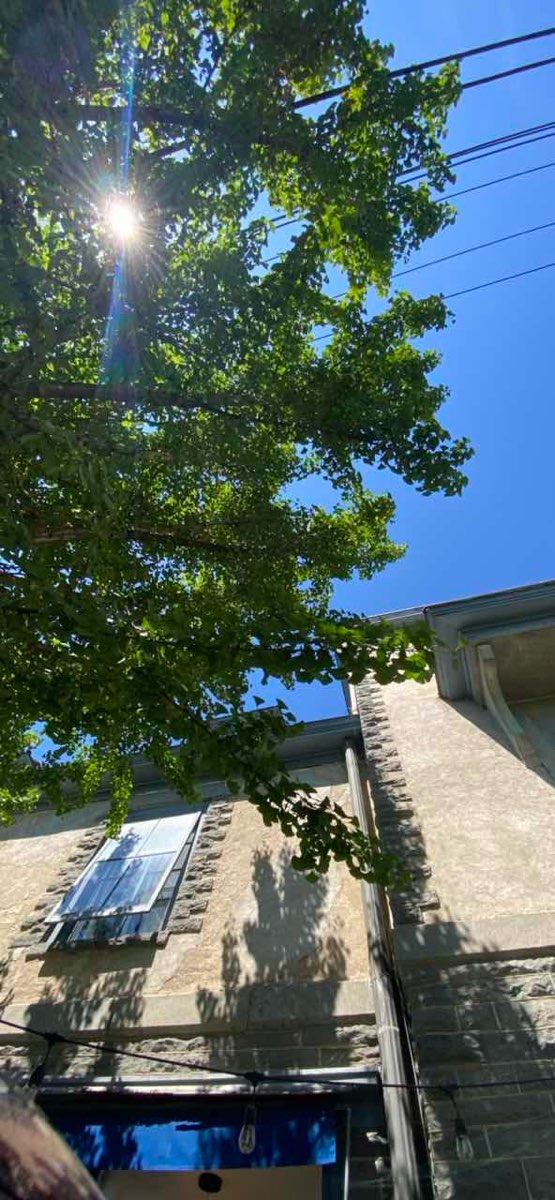 밀포드 펜실베이니아 스캐빈저 헌트 스캐빈저 헌트 사진