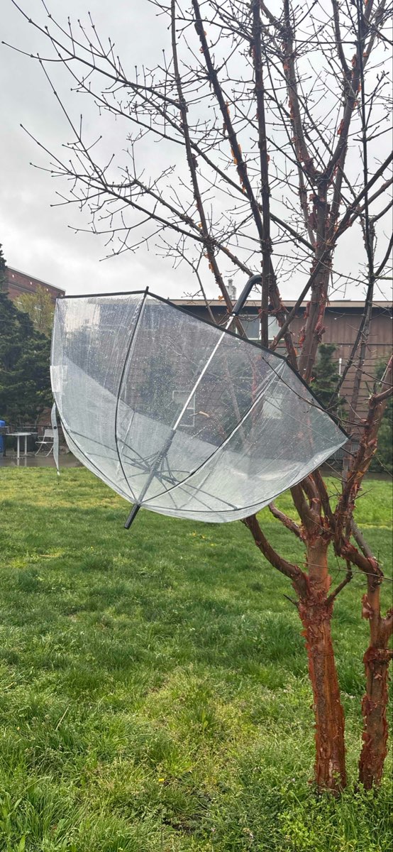 Fremont Scavenger Hunt scavenger hunt photos