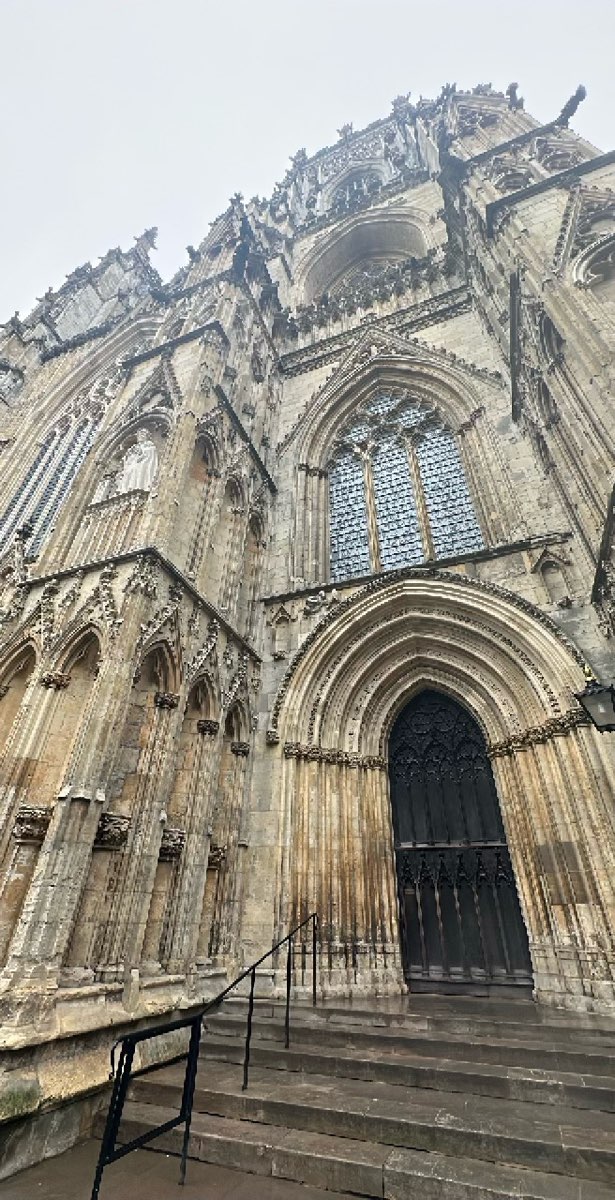 요크 대학교 스캐빈저 헌트 스캐빈저 헌트 사진