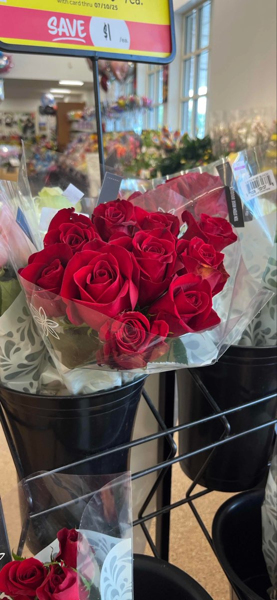 노리치 코네티컷 스캐빈저 헌트 스캐빈저 헌트 사진