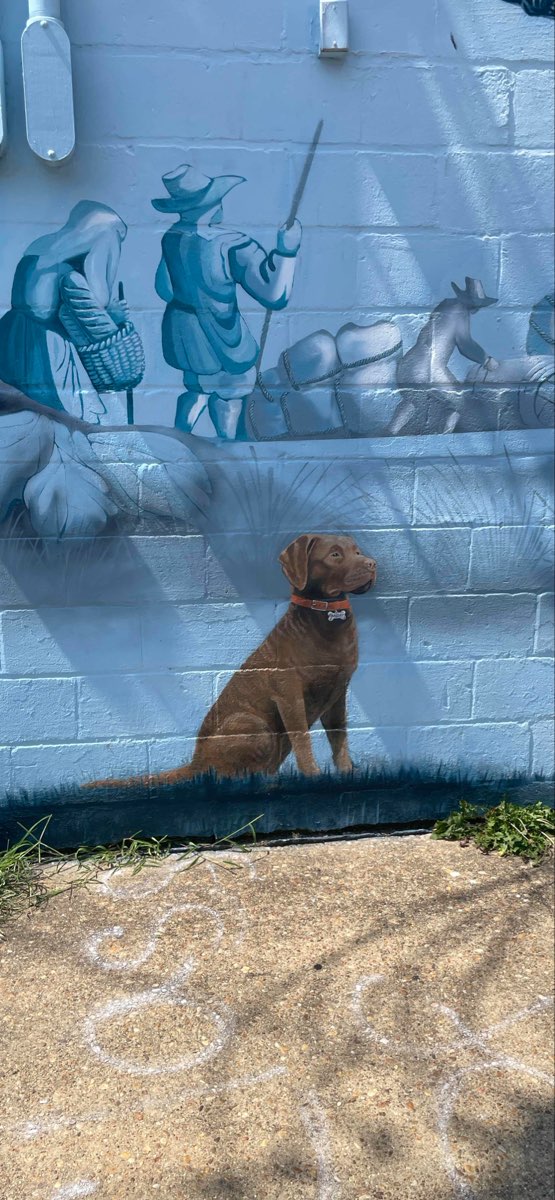 Annapolis Scavenger Hunt scavenger hunt photos