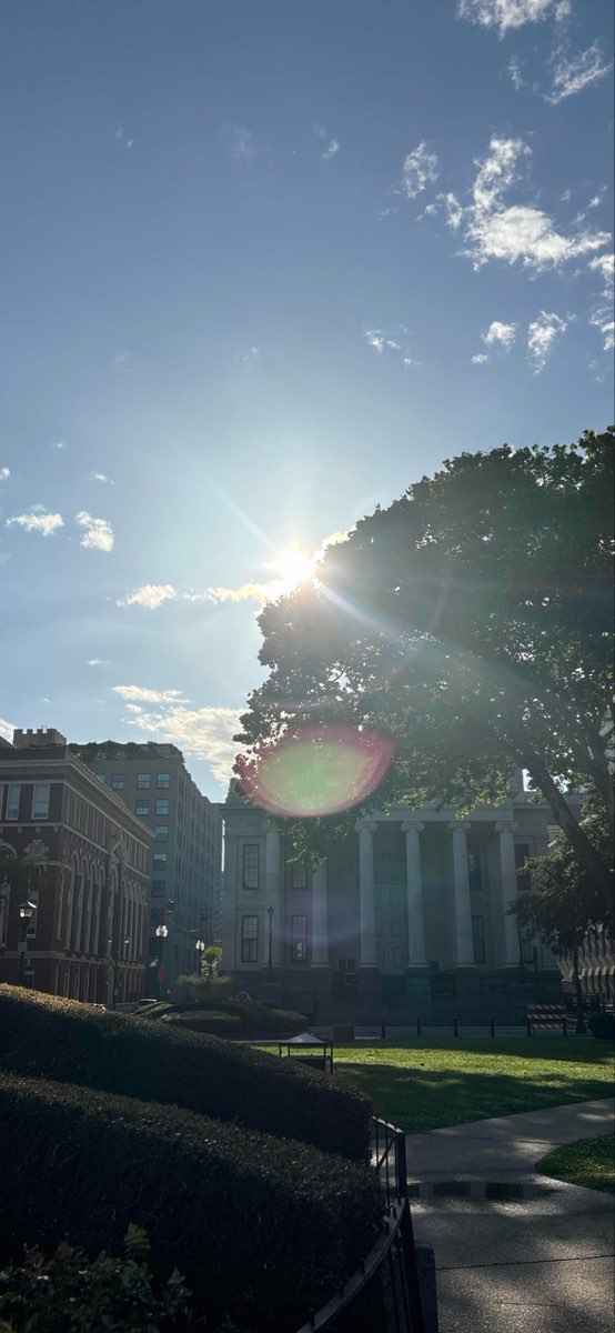 New Orleans Scavenger Hunt scavenger hunt photos