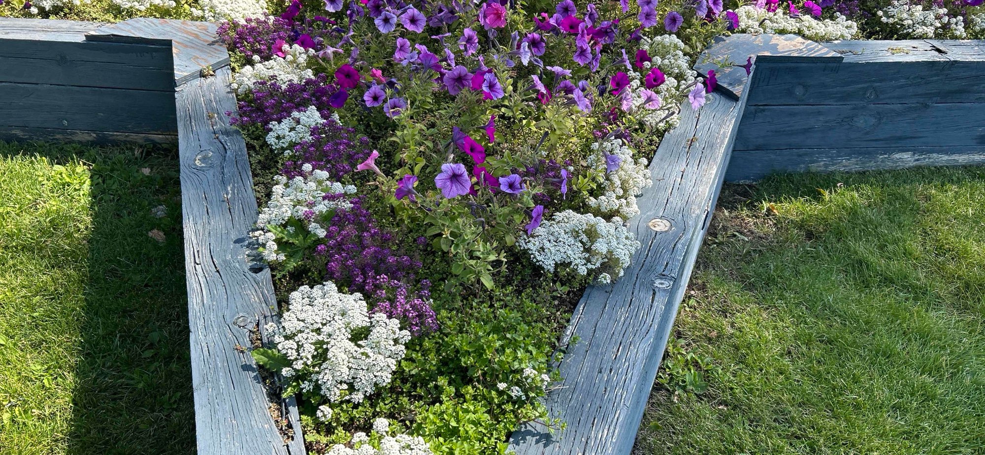 Gunnison Scavenger Hunt scavenger hunt photos