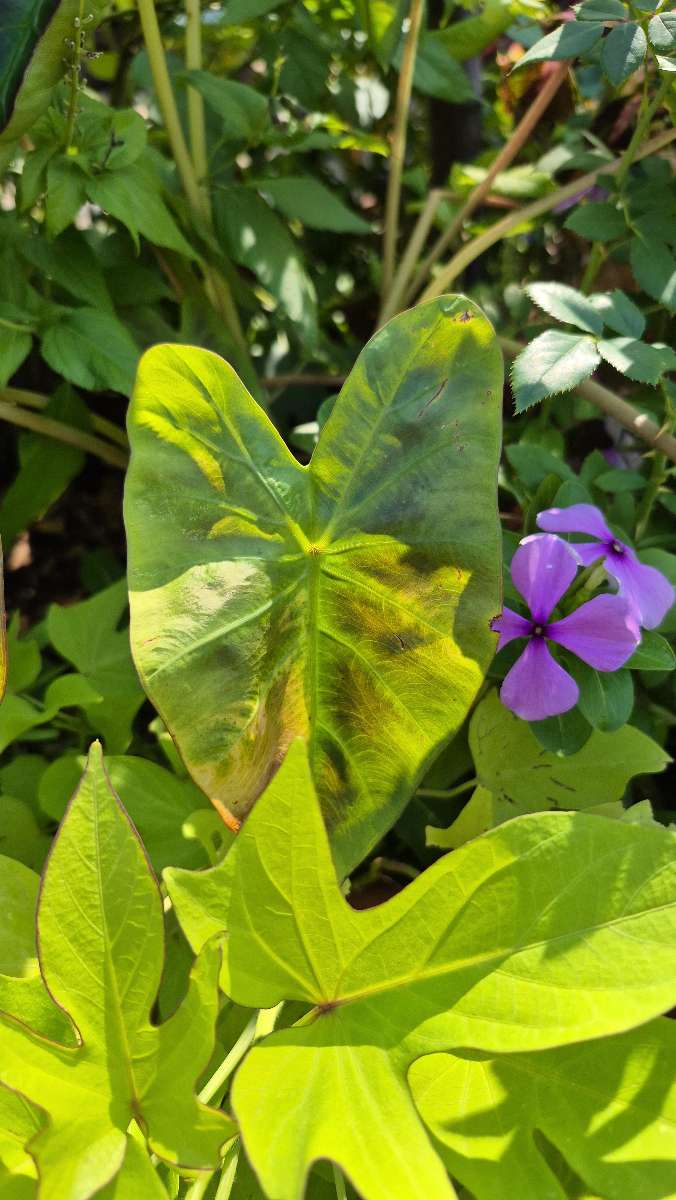 Cincinnati Downtown Scavenger Hunt scavenger hunt photos