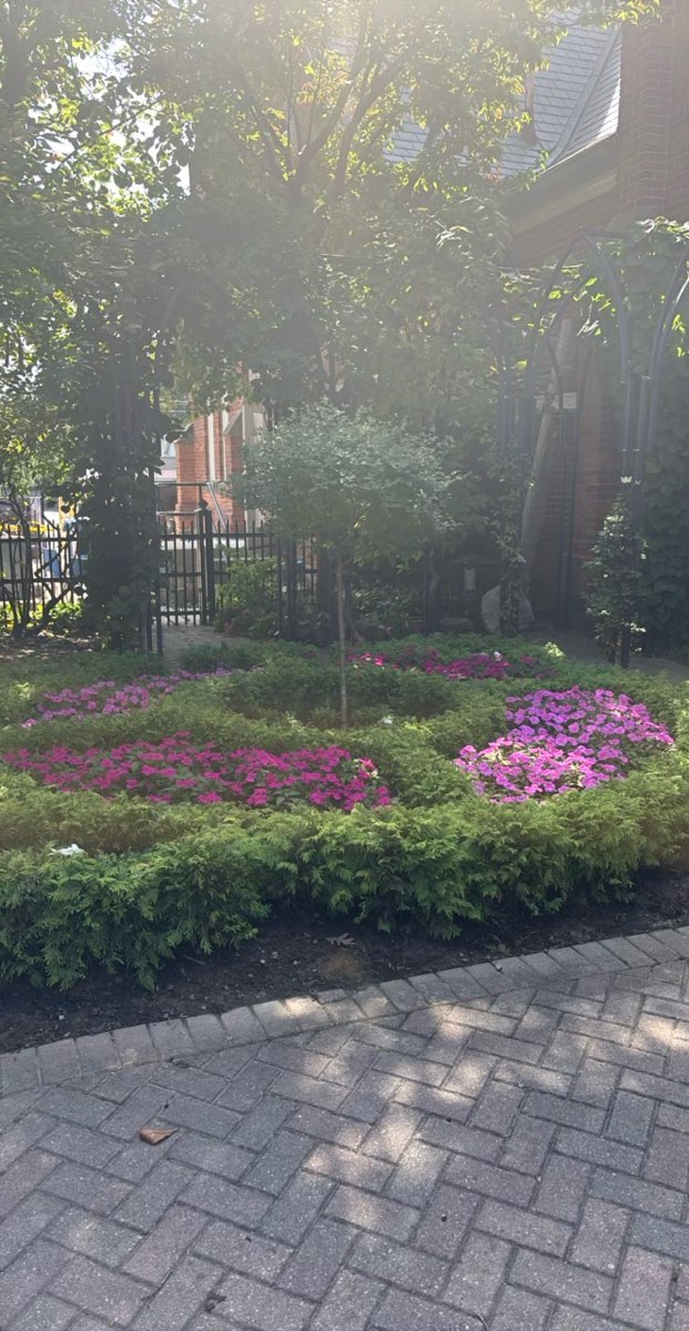 Oakville Downtown Scavenger Hunt scavenger hunt photos