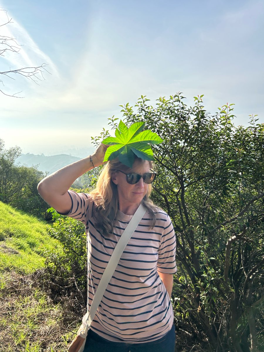 Fotos de la B&uacute;squeda del Tesoro de Griffith Park