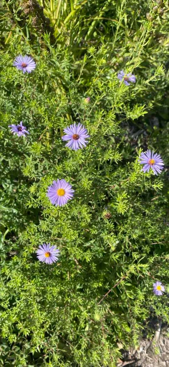 Madonna University Scavenger Hunt scavenger hunt photos