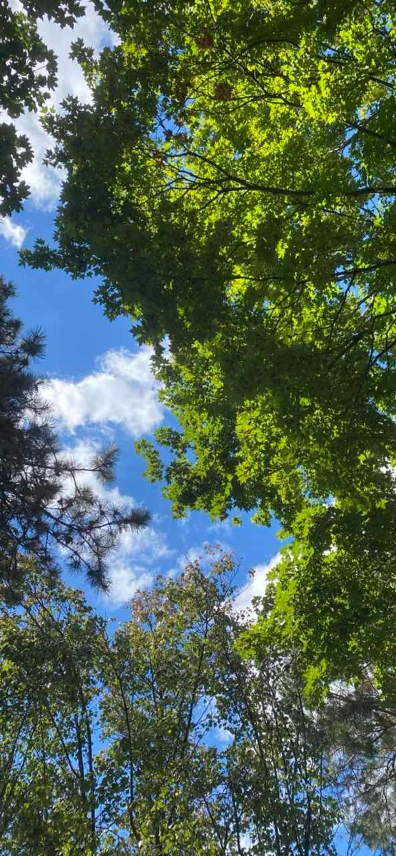 Madonna University Scavenger Hunt scavenger hunt photos