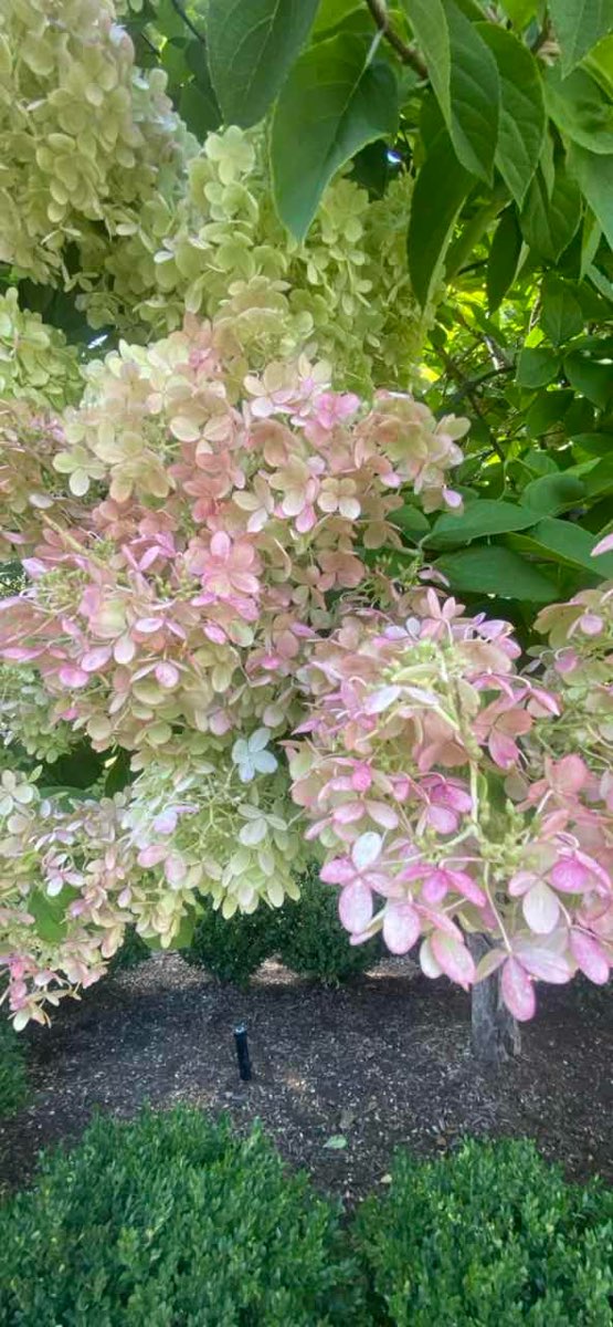 Madonna University Scavenger Hunt scavenger hunt photos