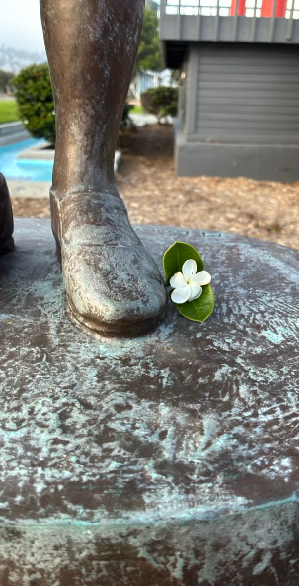 University of San Diego Scavenger Hunt scavenger hunt photos