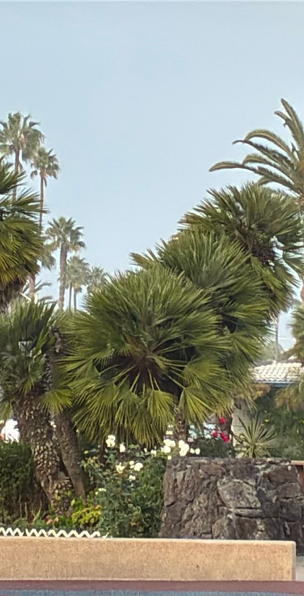 University of San Diego -scavenger hunt -etsintäkuvat