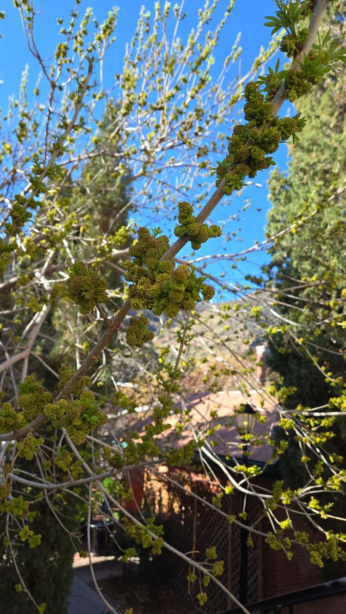 Bisbee Scavenger Hunt scavenger hunt-foton