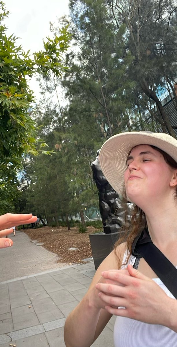 Fotos da Ca&ccedil;a ao Tesouro em Canberra