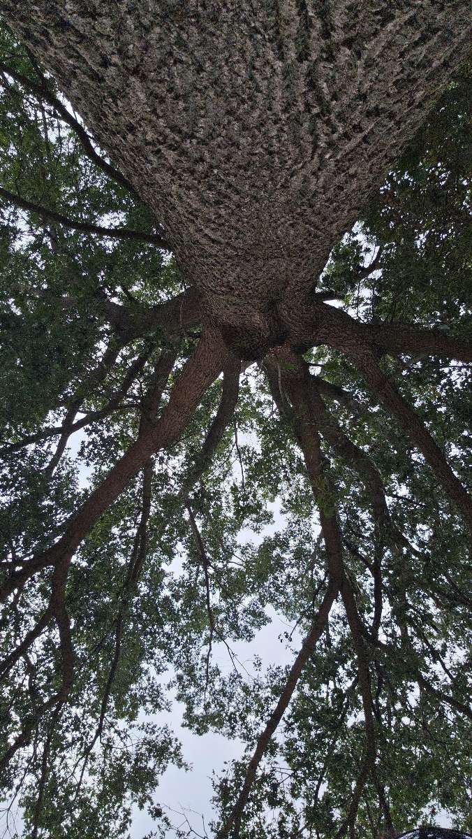 Fotografii vânătoare de comori Miamisburg