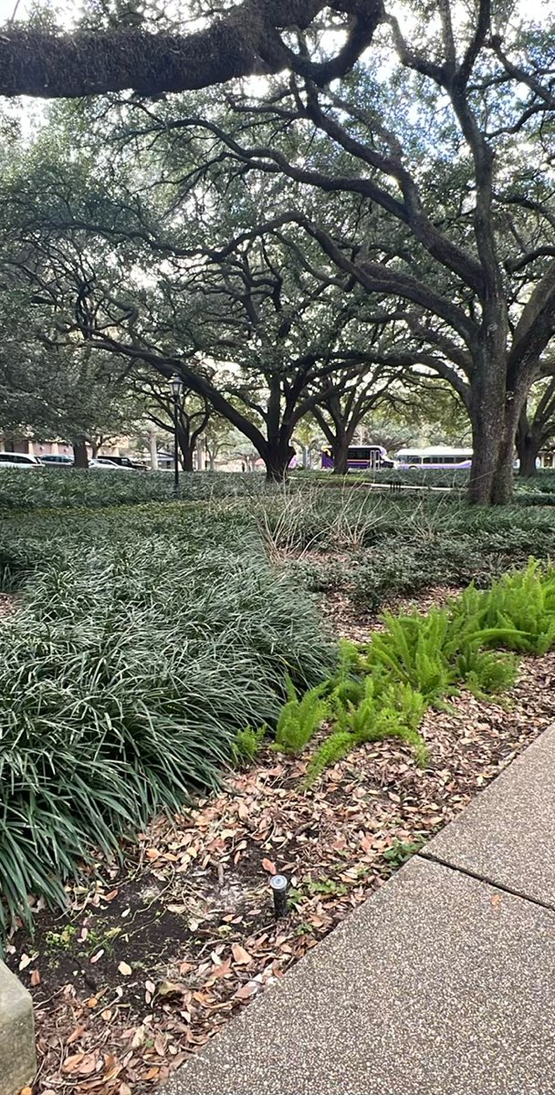 Baton Rouge Scavenger Hunt scavenger hunt photos