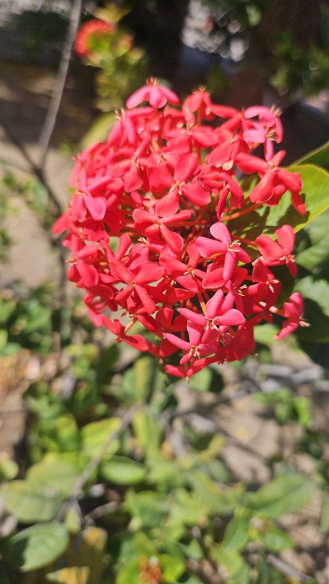 La Paz, Baja California Sur Scavenger Hunt scavenger hunt photos