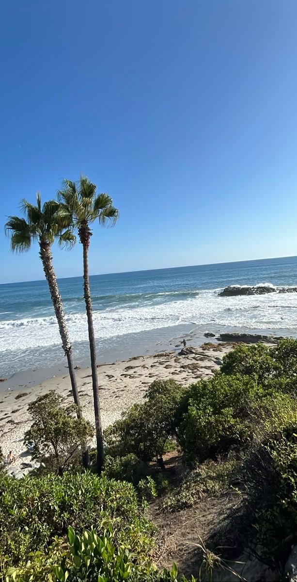 Soka University of America Scavenger Hunt scavenger hunt photos